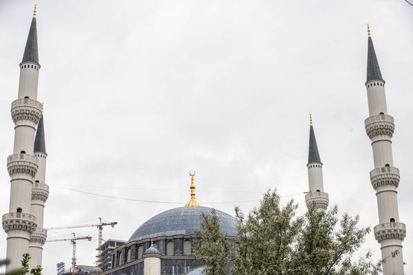İstanbul Mimar Sinan Camii İznik Çini Projesi